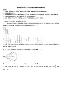 修武县2024-2025学年中考数学四模试卷含解析