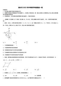 丽水市2025年中考数学考前最后一卷含解析