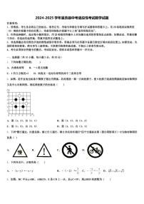 2024-2025学年呈贡县中考适应性考试数学试题含解析