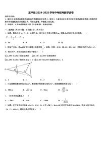 东平县2024-2025学年中考联考数学试卷含解析