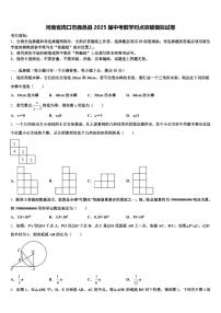 河南省周口市鹿邑县2025届中考数学对点突破模拟试卷含解析