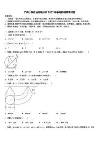 广西壮族自治区梧州市2025年中考四模数学试题含解析