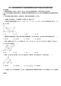 2025届云南省普洱市宁洱哈尼族彝族自治县中考适应性考试数学试题含解析