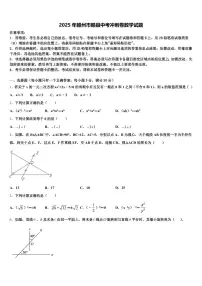 2025年赣州市赣县中考冲刺卷数学试题含解析