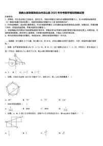 湘西土家族苗族自治州龙山县2025年中考数学模拟精编试卷含解析