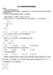 2025年阳东县中考数学押题试卷含解析