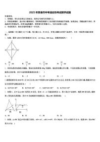 2025年贵港市中考适应性考试数学试题含解析