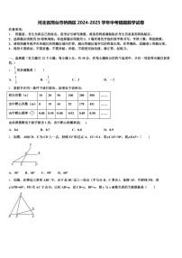 河北省邢台市桥西区2024-2025学年中考猜题数学试卷含解析