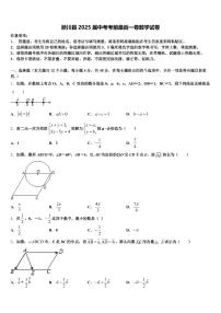 淅川县2025届中考考前最后一卷数学试卷含解析
