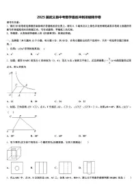 2025届武义县中考数学最后冲刺浓缩精华卷含解析