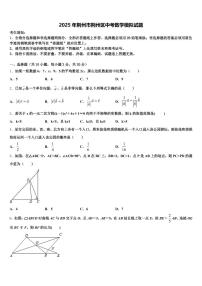2025年荆州市荆州区中考数学模拟试题含解析