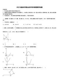 2025届徐州市铜山区中考冲刺卷数学试题含解析