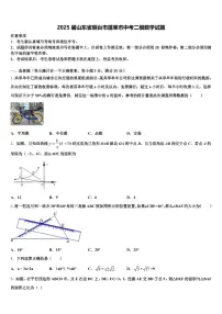 2025届山东省烟台市蓬莱市中考二模数学试题含解析