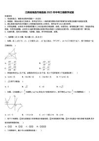 江西省南昌市南昌县2025年中考三模数学试题含解析