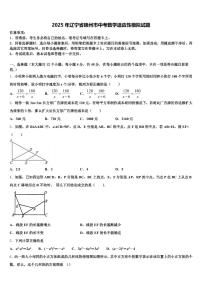 2025年辽宁省锦州市中考数学适应性模拟试题含解析