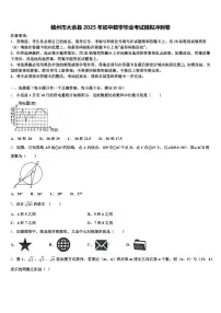 赣州市大余县2025年初中数学毕业考试模拟冲刺卷含解析