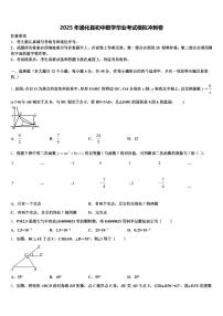 2025年通化县初中数学毕业考试模拟冲刺卷含解析
