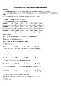 滨州市邹平市2025年初中数学毕业考试模拟冲刺卷含解析