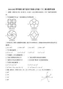 2024-2025学年浙江省宁波市宁海县七年级（下）期末数学试卷（含答案）
