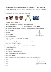 2024-2025学年辽宁省大连市沙河口区七年级（下）期末数学试卷-普通用卷