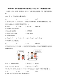2024-2025学年湖南省永州市新田县八年级（上）期末数学试卷（含解析）