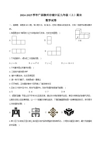 2024-2025学年广西柳州市城中区九年级（上）期末数学试卷（含解析）