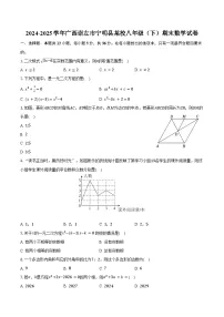 2024-2025学年广西崇左市宁明县某校八年级（下）期末数学试卷（含解析）