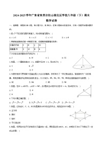 2024-2025学年广东省东莞市松山湖北区学校八年级（下）期末数学试卷（含解析）