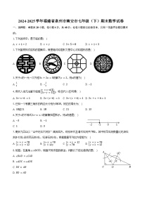 2024-2025学年福建省泉州市南安市七年级（下）期末数学试卷（含解析）