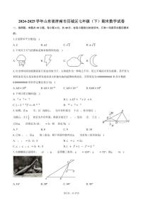 2024-2025学年山东省济南市历城区七年级（下）期末数学试卷（含答案）