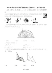 2024-2025学年山东省济南市槐萌区七年级（下）期末数学试卷（含答案）