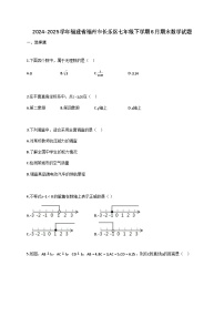 2024_2025学年福建省福州市长乐区七年级下册6月期末数学检测试卷（含答案）