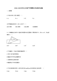 2024_2025学年七年级下册期末考试数学检测试卷（含答案）