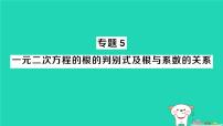 华东师大版（2024）九年级上册一元二次方程作业ppt课件