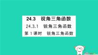 华东师大版（2024）九年级上册解直角三角形作业ppt课件