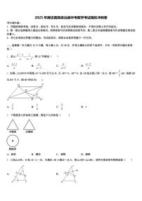 2025年屏边苗族自治县中考数学考试模拟冲刺卷含解析