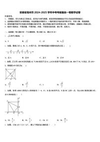 安徽省亳州市2024-2025学年中考考前最后一卷数学试卷含解析
