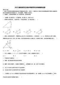 2025届芜湖市无为县中考数学对点突破模拟试卷含解析