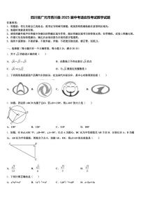 四川省广元市青川县2025届中考适应性考试数学试题含解析