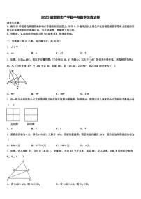 2025届邯郸市广平县中考数学仿真试卷含解析