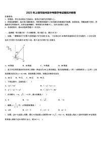 2025年上饶市信州区中考数学考试模拟冲刺卷含解析