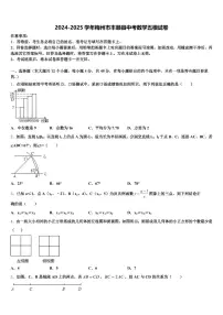 2024-2025学年梅州市丰顺县中考数学五模试卷含解析