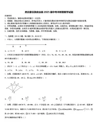 肃北蒙古族自治县2025届中考冲刺卷数学试题含解析