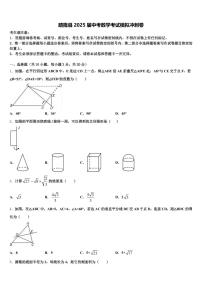 晴隆县2025届中考数学考试模拟冲刺卷含解析