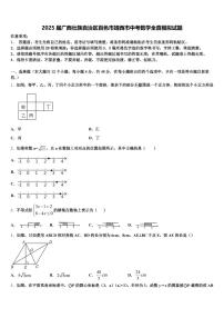 2025届广西壮族自治区百色市靖西市中考数学全真模拟试题含解析
