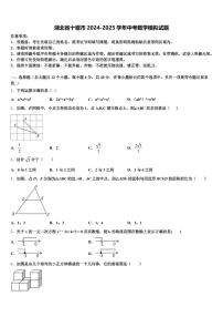 湖北省十堰市2024-2025学年中考数学模拟试题含解析