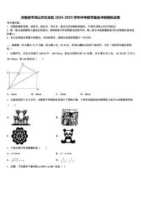 河南省平顶山市石龙区2024-2025学年中考数学最后冲刺模拟试卷含解析