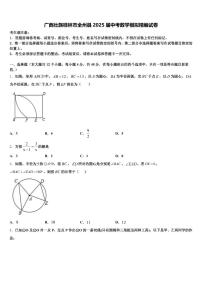 广西壮族桂林市全州县2025届中考数学模拟精编试卷含解析