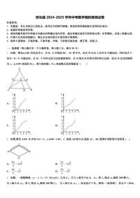 安化县2024-2025学年中考数学模拟预测试卷含解析