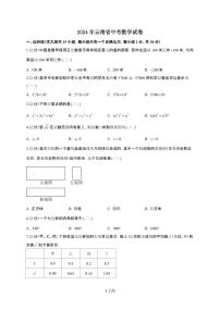 【中考】2024年云南省数学试卷（原卷+解析）